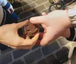 vpk_utes_myseum_z_kld