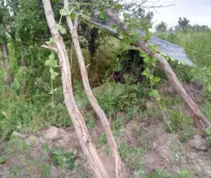 vpk_utes_war_games-4